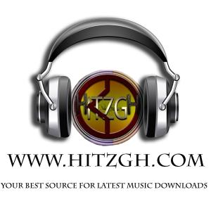 Hitzgh Logo1