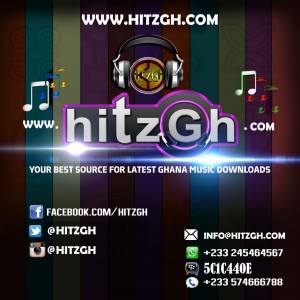 Hitzgh Logo