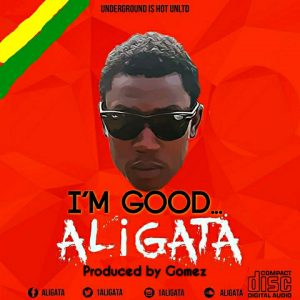 Aligata - I'm Good(Prod. By Gomez)