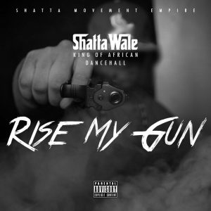 Shatta Wale - Rise My Gun (Prod.y Dj Breezy)
